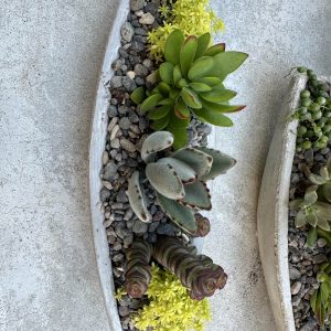 Mini concrete Succulent Boat