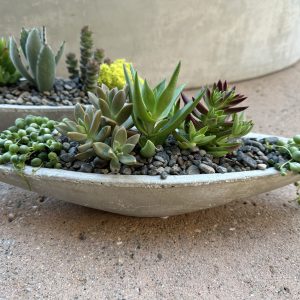 Mini concrete Succulent Boat